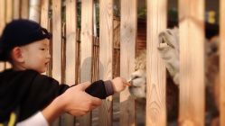 -萌宠亲子动物乐园(槐房万达店)