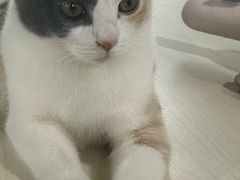 -万达广场(南宁青秀店)