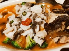 -新悦·霞浦海鲜生(上下杭店)