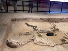 -洛阳周王城天子驾六博物馆