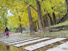 -阳台山自然风景区