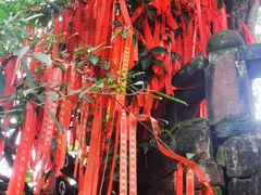 -尧坝古镇
