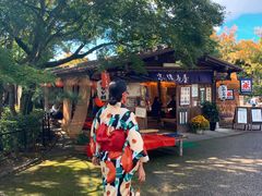 -有栖山 清光院 清水寺