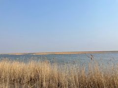 -南大港湿地风景区