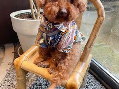 -Metal hands·铁手咖啡