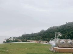 -野狸岛