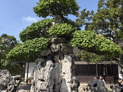 -水绘园
