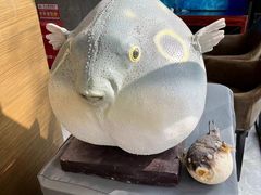 -肆月河豚·新淮扬(金融街店)