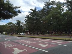 -奈良公园