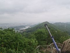 -先记烧鹅王·本地粤菜(福永店)