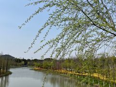 -狼山风景名胜区