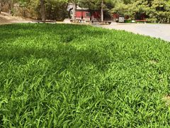 -元大都城垣遗址公园