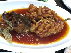 松鼠桂鱼-协和菜馆(凤凰街店)