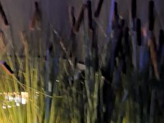 -味界·精致赣菜(招商花园城店)