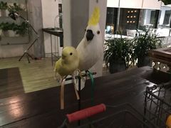 -RGF(巨鹿路店)
