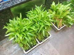 -船家渔(徐州北路店)