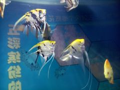 -福州罗源湾海洋世界旅游区