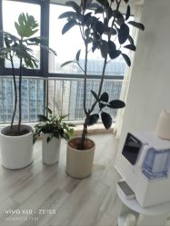-HEYAN荷妍专业脱毛连锁机构