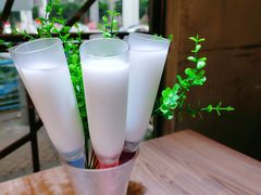 -探窝·竹笙椰子鸡(杨箕店)