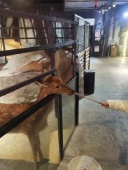 -酷嗒动物文化乐园(cutezoo西溪乐天城店)