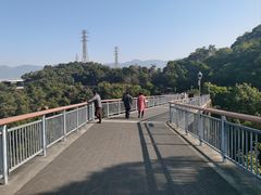 -金鸡山公园
