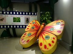 android_upload_pic-上海昆虫博物馆