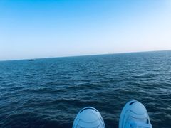 -澳门环岛游湾仔码头