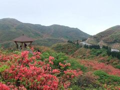 -大围山国家森林公园