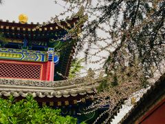-西安市广仁寺