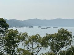 -上海市保健医疗中心