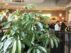 -大树餐厅(红旗街万达店)