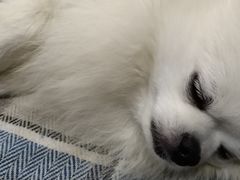 -豪客来牛排(成都锦江大融城店)