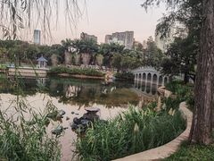 -四海公园(南山区)