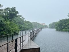 -济州森林小火车生态公园
