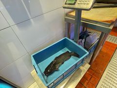 -鱼酷活鱼烤鱼(恒隆广场店)