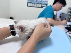-美联众合24小时·皮肤科·外科·全科诊疗中心(华苑分院)