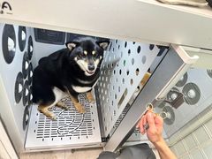 -FAELING PETS美天灵宠物(合生汇店)