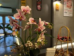 -施奈儿.洗头頭療.按摩SPA.采耳(上梅林店)