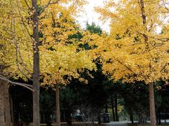 -大连植物园