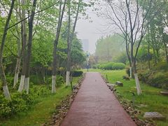 -滨湖塘西河公园