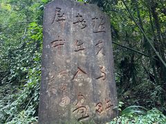 -窦圌山风景区