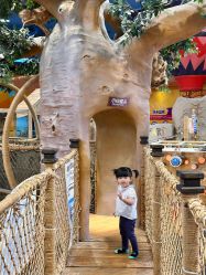 -卡通尼·Safari非洲探索乐园·生日会(金桥国际商业广场店)