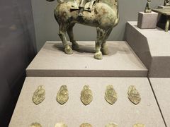 -广西壮族自治区博物馆