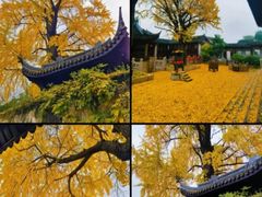 -灵山胜境