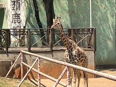 -昆明动物园