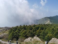 -白草畔自然风景区