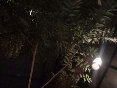 -zarah(鼓楼店)