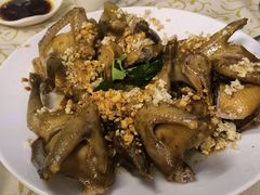 -百利鸽王(紫薇路店)