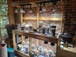 -青木造型HAIR·あおき髪を刈る潮人店