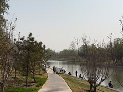 -坝河休闲公园